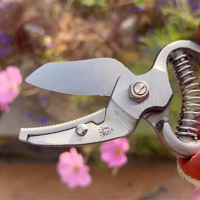 Spear & Jackson CUTTINGSET8 Traditional Bypass & Anvil Pruner/Secateur Set