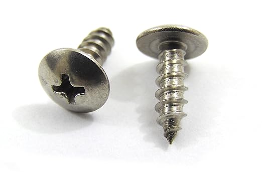 #10 x 3/4" Stainless Truss Head Phillips Wood Screw (100pc) 18-8 (304) Stainless Steel Screws by Bolt Dropper