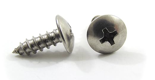 #10 x 3/4" Stainless Truss Head Phillips Wood Screw (100pc) 18-8 (304) Stainless Steel Screws by Bolt Dropper