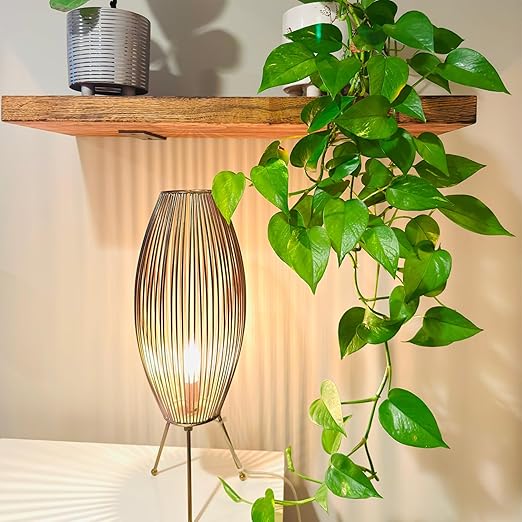 Plug in Pendant Light Kit White- UL 20Ft Light Bulb Socket E26 E27 with Lantern Cord, On/Off Switch, Electrical Wire Lamp Cable for Hanging Ceiling Fixture, 2 Pack