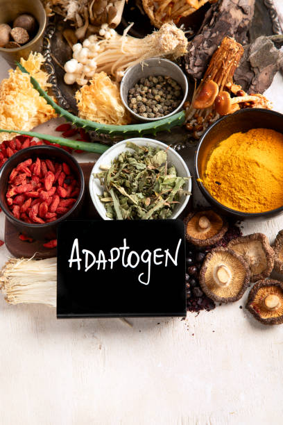 Adaptogens