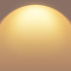 Jensense Edison LED Light Bulbs 8Watt Dimmable, 2700K Warm White, E26 Base, 60watt Equivalent, Vintage Bulbs 800lm CRI 90 Clear Glass, 32 Pack