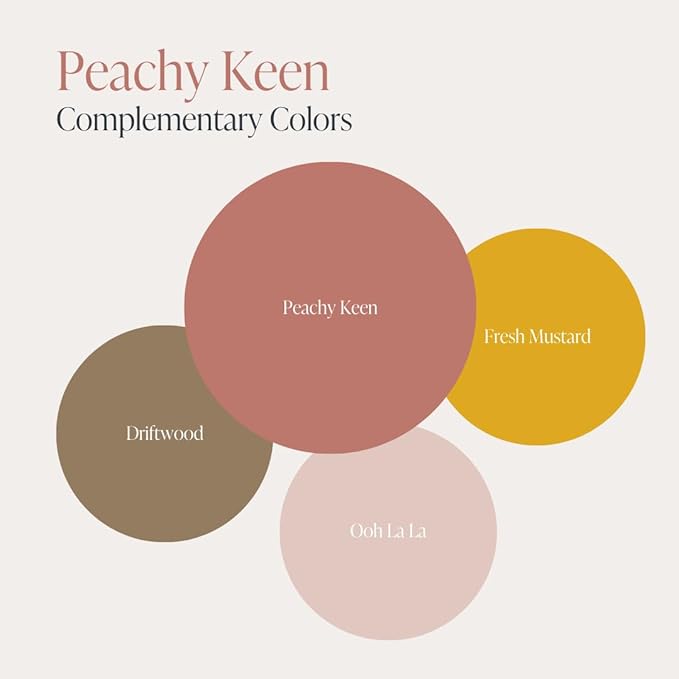 Country Chic All-in-One Chalk Paint for Furniture, Cabinets, Home Decor, Eco-Friendly, Matte Finish, Built-In Primer & Top Coat for Wood, Metal - Peachy Keen (Coral Pink) - Pint 16 oz (475 ml)