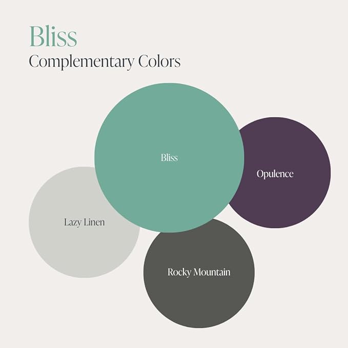 Country Chic All-in-One Chalk Paint for Furniture, Cabinets, Home Decor, Eco-Friendly, Matte Finish, Built-In Primer & Top Coat for Wood, Metal - Bliss (Teal) - Quart 32 oz (950 ml)