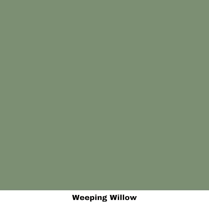 Dixie Belle Paint Company Chalk Finish Furniture Paint - Weeping Willow (8oz) - Matte Soft Green Chic Chalk Mineral DIY Furniture Paint