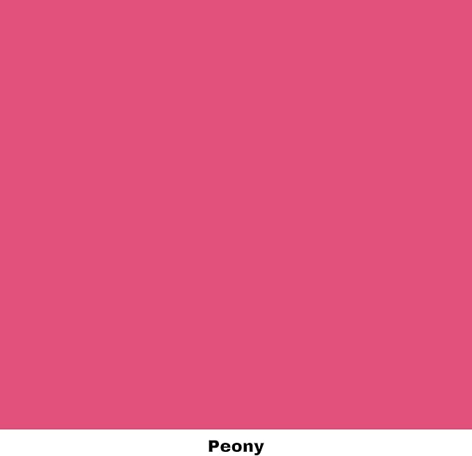 Dixie Belle Paint Company Chalk Finish Furniture Paint - Peony (16oz) - Matte Hot Pink Chic Chalk Mineral DIY Furniture Paint