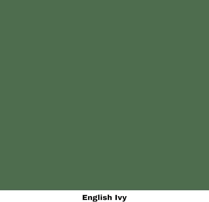 Dixie Belle Paint Company Chalk Finish Furniture Paint - English Ivy (16oz) - Matte Muted Green Chic Chalk Mineral DIY Furniture Paint