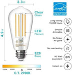 TJOY 24 Pack Vintage 8W ST58 LED Edison Light Bulbs, Dimmable, 60W Equivalent, 800Lumens, 2700K Warm White, E26 Base LED Filament Bulb, CRI80+, Antique Glass Style for Home, Bedroom, Office, Farmhouse