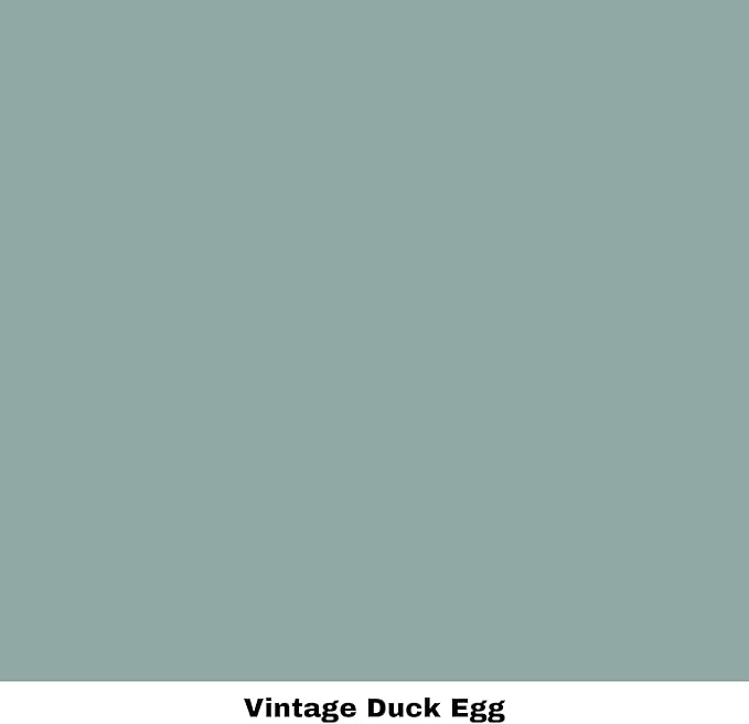 Dixie Belle Paint Company Chalk Finish Furniture Paint - Vintage Duck Egg (16oz) - Matte Light Blue Chic Chalk Mineral DIY Furniture Paint