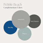 Country Chic All-in-One Chalk Paint for Furniture, Cabinets, Home Decor, Eco-Friendly, Matte Finish, Built-In Primer & Top Coat for Wood, Metal - No Wax Needed (Pebble Beach (Grey), Sample (4 oz)) -