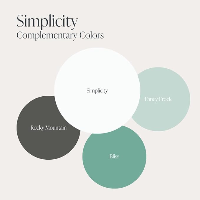 Country Chic All-in-One Chalk Paint for Furniture, Cabinets, Home Decor, Eco-Friendly, Matte Finish, Built-In Primer & Top Coat for Wood, Metal - Simplicity (White) - 4 oz (118 ml)