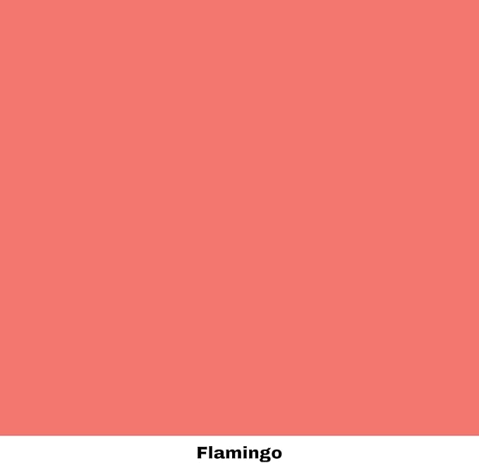 Dixie Belle Paint Company Chalk Finish Furniture Paint - Flamingo (16oz) - Matte Bright Coral Chic Chalk Mineral DIY Furniture Paint