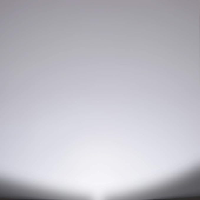 Energetic BR30 LED Recessed Light Bulb, 11W=75W, 5000K Daylight, 900LM, Dimmable Ceiling Flood Light Bulb for Cans, CRI80+, 2Pack