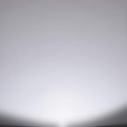 Energetic Dimmable LED Filament Light Bulbs Clear, 8W, 60 Watt Equivalent, Daylight 5000K, Classic Clear Glass, A19 LED Edison Bulb, 12 Pack