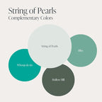 Country Chic All-in-One Chalk Paint for Furniture, Cabinets, Home Decor, Eco-Friendly, Matte Finish, Built-In Primer & Top Coat for Wood, Metal - String of Pearls (Light Green) - 8 oz (237 ml)