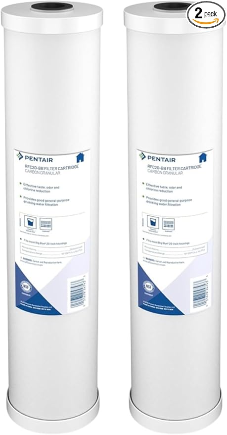 Pentair Pentek RFC-20BB Big Blue Carbon Water Filter, 20-Inch, Whole House Heavy Duty Radial Flow Carbon Replacement Cartridge with Granular Activated (GAC) Filter, 20" x 4.5", 25 Micron