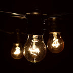 Hometown Evolution, Inc. E26 Commercial String Lights with 16 Gauge Wire (50 Foot 25 Socket, A15 15 Watt Clear Bulbs)