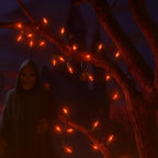 Novelty Lights 11 Feet 50 Bulbs Traditional Incandescent Mini Lights, Amber on Green Wire with 2.5" Spacing, Commercial Grade and UL Listed for Indoor/Outdoor Use, End-to-End Connectable