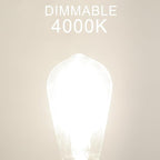Dimmable LED Edison Bulb, E26 LED Bulb 60 watt Equivalent, Cool White 4000K, ST58 Vintage Light Bulbs, 90+ CRI, 6W 600LM, E26 Base, Clear Glass, 6 Pack