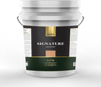 EVOLVE Signature Paint & Primer: Luxury Paint & Primer for Indoor & Outdoor Surfaces, Minimal Odor, Satin Sheen (Luxury Tan, 5 Gallon)