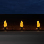 Wintergreen Lighting Box of 25 OptiCore C9 LED Gold Christmas Light Bulbs - Replacement LED Christmas Lights Heavy Duty Premium Outdoor Christmas Lights, E17 Base (Gold Faceted)