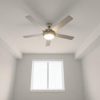 EVOLVE All Purpose Whites: Latex Flat Interior Paint for Walls & Ceilings, Shades of White, Quick Dry, Excellent Touch-Up & Coverage, Eco-Friendly (Snow Drift)