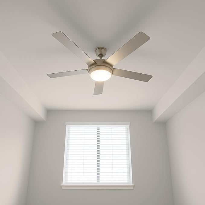 EVOLVE All Purpose Whites: Latex Flat Interior Paint for Walls & Ceilings, Shades of White, Quick Dry, Excellent Touch-Up & Coverage, Eco-Friendly (Snow Drift)