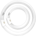 FC8T9 22W and FC12T9 32W Set Daylight, 8 inch T9 22 Watts Circular Light Bulbs, 12 inch 32 Watts Circline Fluorescent Bulb CRI 80, 6500K 3350 Lumen G10q