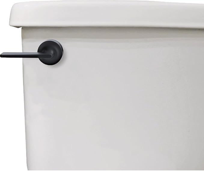 Danco 12052 Toilet Tank Lever, Matte Black