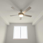 EVOLVE All Purpose Whites: Latex Flat Interior Paint for Walls & Ceilings, Shades of White, Quick Dry, Excellent Touch-Up & Coverage, Eco-Friendly (Alabaster)