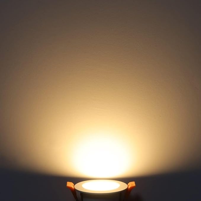 2 Inch LED Downlight, Recessed Lighting Dimmable Ceiling Light, 3W, 3000K Warm White, CRI80 with LED Driver(35W Halogen Equivalent), 20 Pack