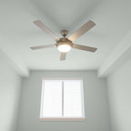 EVOLVE All Purpose Whites: Latex Flat Interior Paint for Walls & Ceilings, Shades of White, Quick Dry, Excellent Touch-Up & Coverage, Eco-Friendly (Cool White)