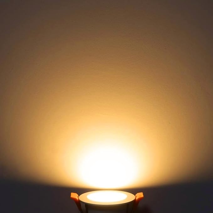 2 Inch LED Downlight, Recessed Lighting Dimmable Ceiling Light, 3W, 2700K Ultra Warm White, CRI80 with LED Driver(35W Halogen Equivalent), Black 20 Pack