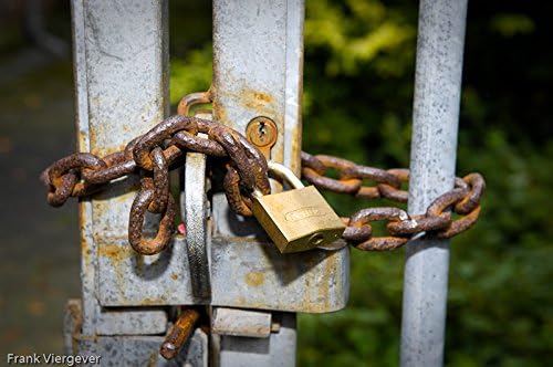 ABUS 55/30 Small Solid Brass Padlock with 2 Keys for School, Gym, Cabinet 1 9/64in (30mm) Wide, Keyed Different
