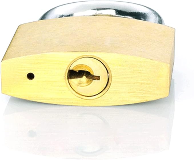 Solid Brass Same Keyed Padlock keyed Alike Locks of 12 Pack, Solid Lock with (25mm) Wide Lock Body, Keyed Padlocks for Toolbox, Luggage,School lockers, Backpacks