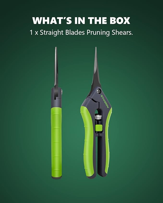 6.5" Straight Pruning Shears for Gardening, Sharp Plant Trimming Scissors for Precise Cuts, Stainless Steel Garden Scissors Bonsai Clippers (1-Pack)