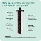 British Berkefeld 7" Ultra Sterasyl Keramik-Schwerkraftfilterkartusche | 2er-Pack | Reduziert Verunreinigungen | Verbessert Geschmack und Geruch | NSF-zertifiziertes Kerzenelement