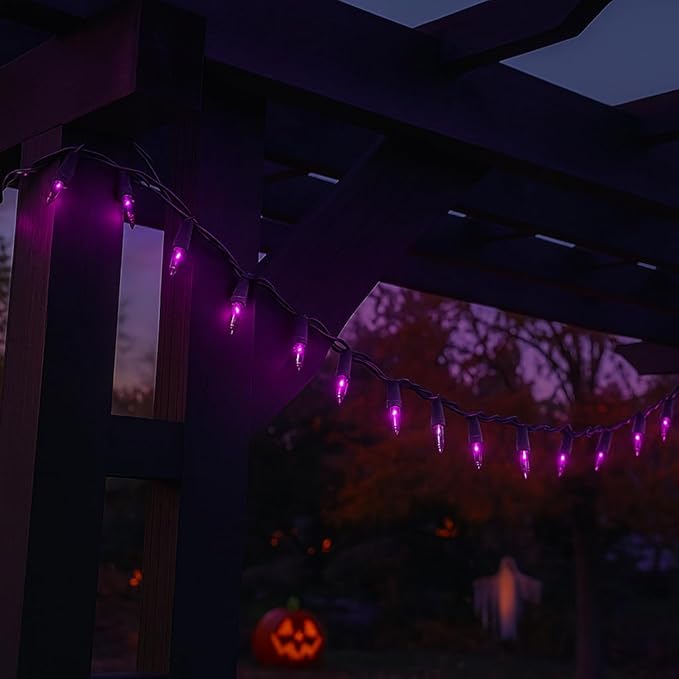 Novelty Lights 11 Feet 50 Bulbs Traditional Incandescent Mini Lights, Purple on Green Wire with 2.5" Spacing, Commercial Grade and UL Listed for Indoor/Outdoor Use, End-to-End Connectable