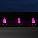 Wintergreen Lighting 25 Pack OptiCore C9 LED Pink Lights Replacement Christmas Light Bulbs - C9 LED Christmas Lights - Valentine Lights Premium Shatterproof, E17 Base (Faceted)