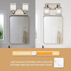 2-Lights Wall Sconce Lighting, Brushed Nickel Bathroom Vanity Light Fixture with Rectangular Frosted Glass for Over Mirror, E26 Bulb Base