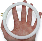 Technical Precision T4 Type 12 Watts Fluorescent Round Tube Bulb Replacement for VTLAMP10 Desk Lamps 5.4 Inch OD Circular Tube Light G10q-4 4-Pin Square Base - 6400K Light - 1 Pack