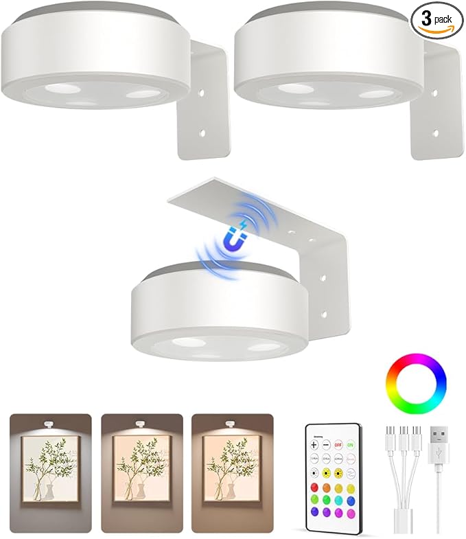 EZVALO Picture Lights for Wall, 2000mAh Rechargeable Battery Magnetic Poster Lights with 3 Color Temps & 12 RGB, Remote Dimmable Timer Painting Light, Wall Decor Light for Art Display, Frame (3 Pack)