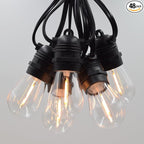 Hometown Evolution, Inc. E26 Commercial String Lights with 16 Gauge Wire (S14 LED Plastic, 100 Foot 50 Socket)