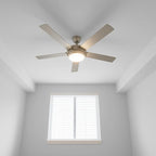 EVOLVE All Purpose Whites: Latex Flat Interior Paint for Walls & Ceilings, Shades of White, Quick Dry, Excellent Touch-Up & Coverage, Eco-Friendly (Bright White)