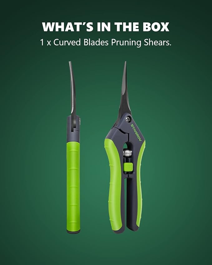 6.5" Pruning Shears for Gardening, Sharp Plant Trimming Scissors for Precise Cuts, Stainless Steel Garden Scissors Bonsai Clippers (1-Pack Curved)