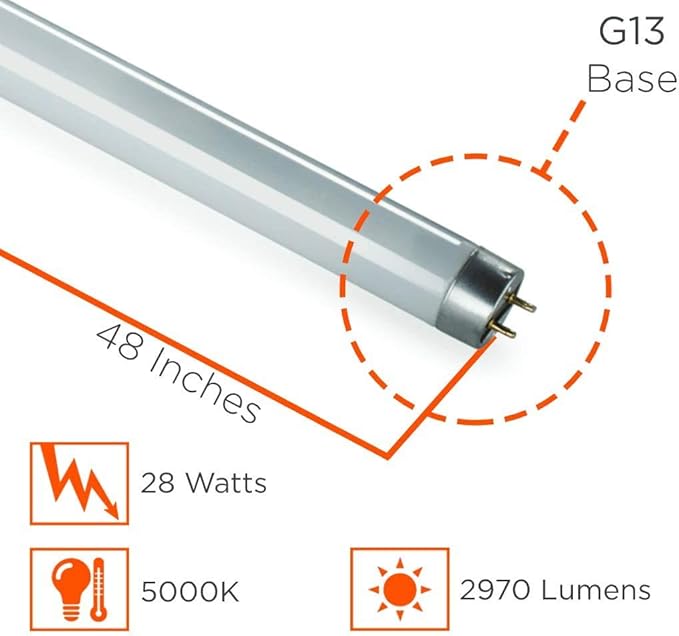 GoodBulb F28T8 28W 48 Inch T8 Fluorescent Light Bulb 5000K Daylight White Color Medium Bi-Pin Base 2970 Lumens 86 CRI 36000 Life Hours Car Dealership Lighting 30 Bulbs Pack