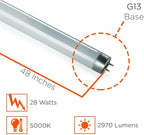 GoodBulb F28T8 28W 48 Inch T8 Fluorescent Light Bulb 5000K Daylight White Color Medium Bi-Pin Base 2970 Lumens 86 CRI 36000 Life Hours Car Dealership Lighting 30 Bulbs Pack