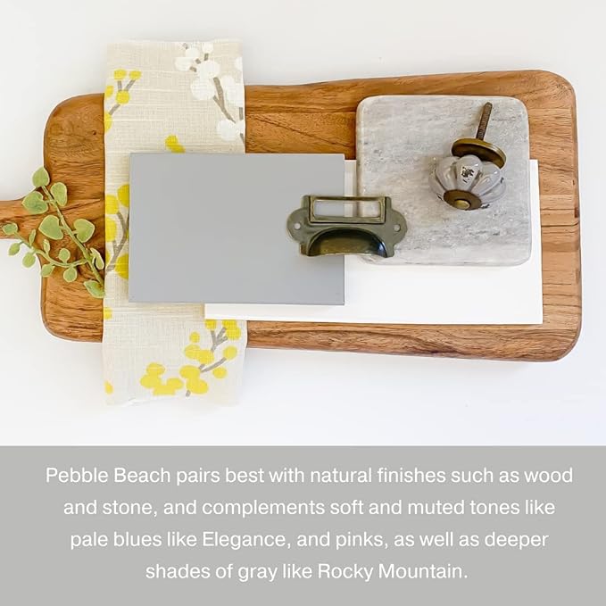 Country Chic All-in-One Chalk Paint for Furniture, Cabinets, Home Decor, Eco-Friendly, Matte Finish, Built-In Primer & Top Coat for Wood, Metal - Pebble Beach (Grey) - Pint 16 oz (475 ml)