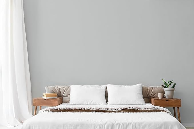 EVOLVE Paint & Primer: Environment-friendly, Low Sheen with One-coat Coverage for Interior & Exterior surfaces (Silver Gray, 1-Gallon)