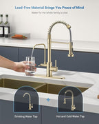 APPASO Gold Kitchen Faucet with Water Filter, Brushed Gold Kitchen Sink Faucet, 3 in 1 Kitchen Faucet (Without Water Filtration Device)
